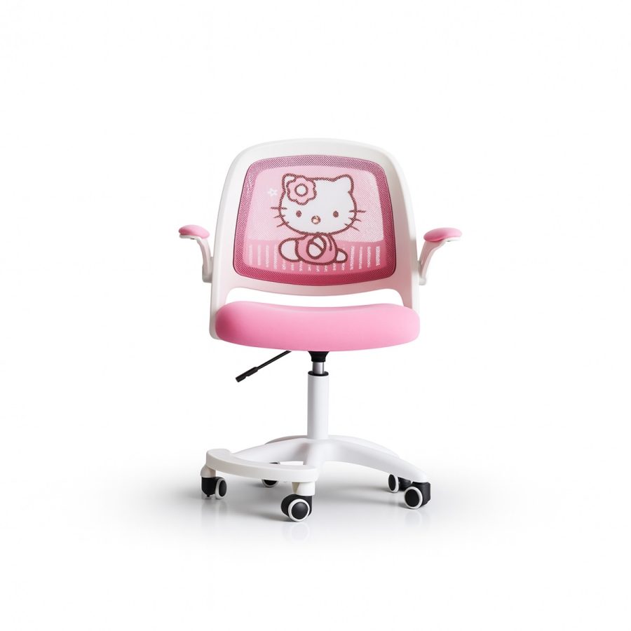 Ghế Bàn Học AK-WC214 - Hình ảnh 16