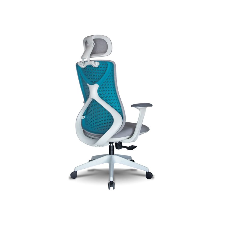 Ghế Công Thái Học DF-WC4000