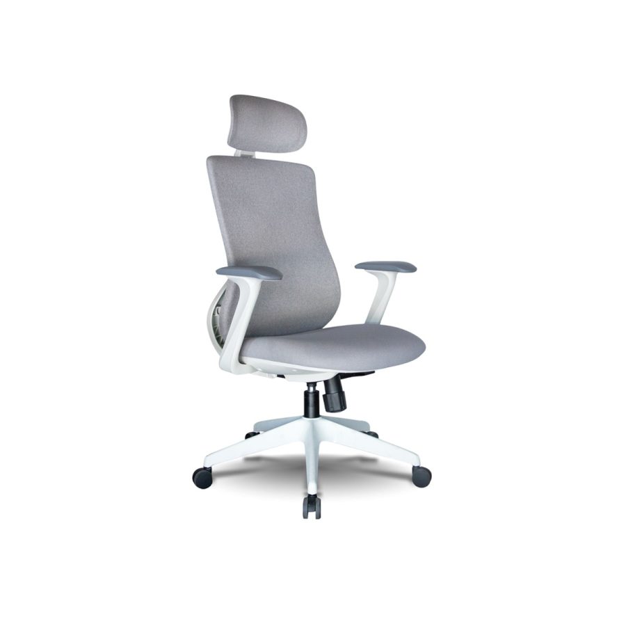 Ghế Công Thái Học DF-WC4000 - Hình ảnh 3