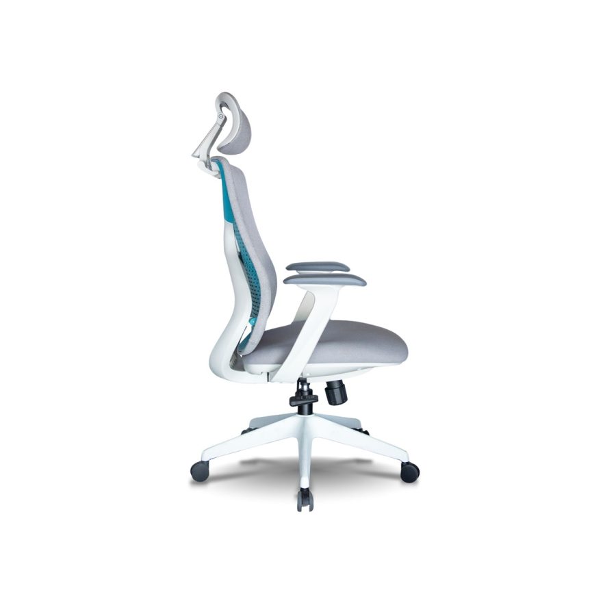 Ghế Công Thái Học DF-WC4000 - Hình ảnh 2