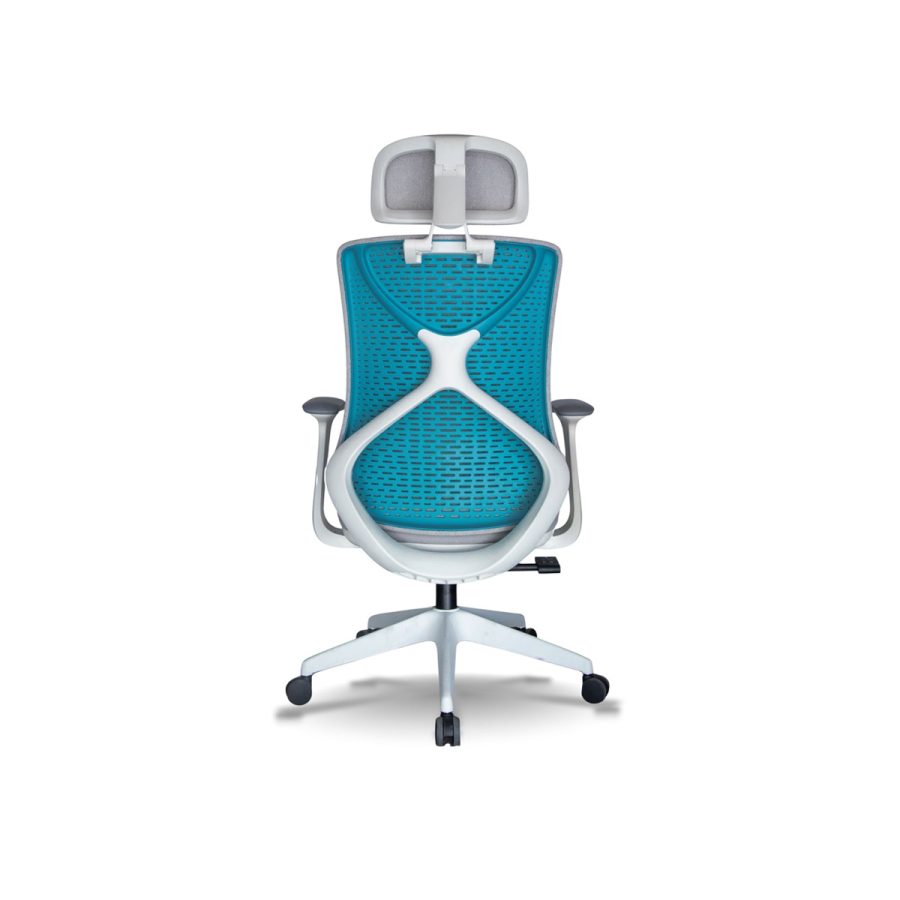 Ghế Công Thái Học DF-WC4000 - Hình ảnh 4