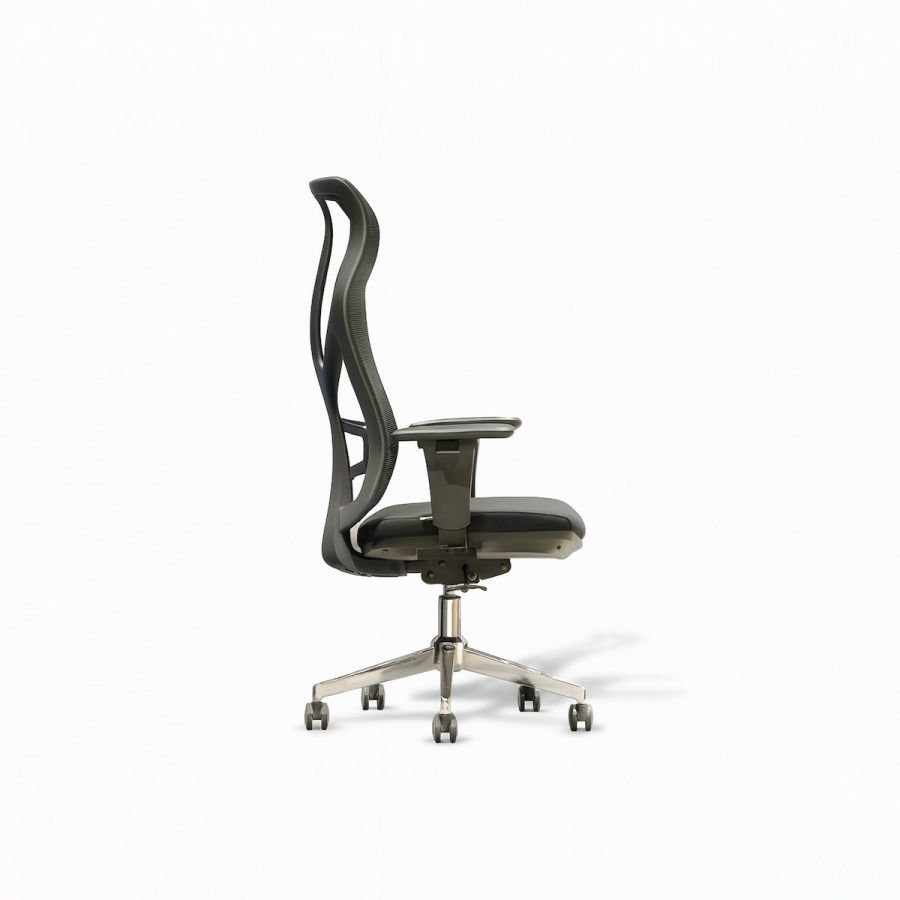 Ghế Công Thái Học DF-WC4001
