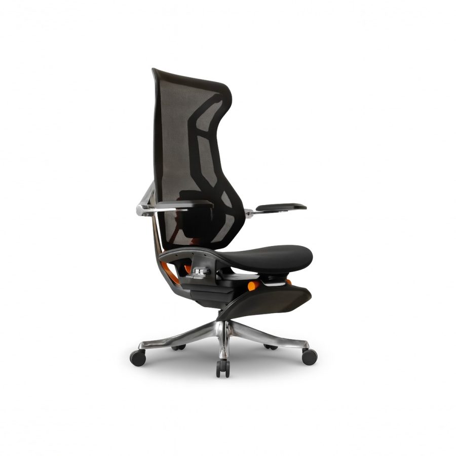 Ghế Công Thái Học DF-WC4004
