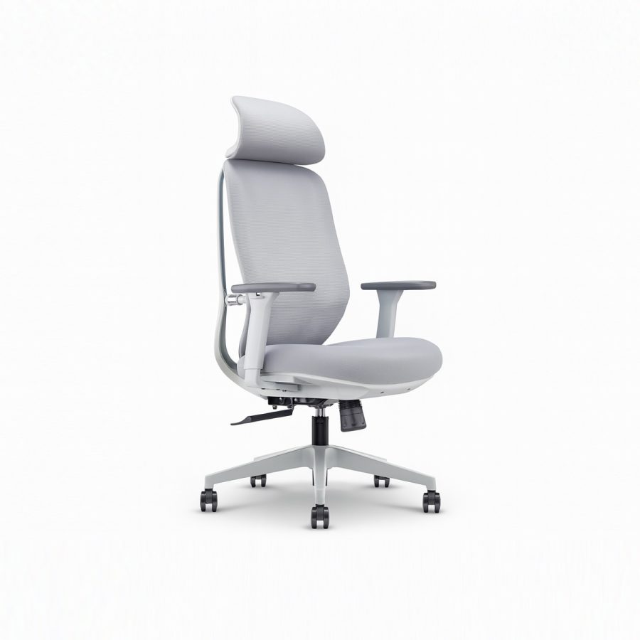 Ghế Văn Phòng Công Thái Học DF-WC4003