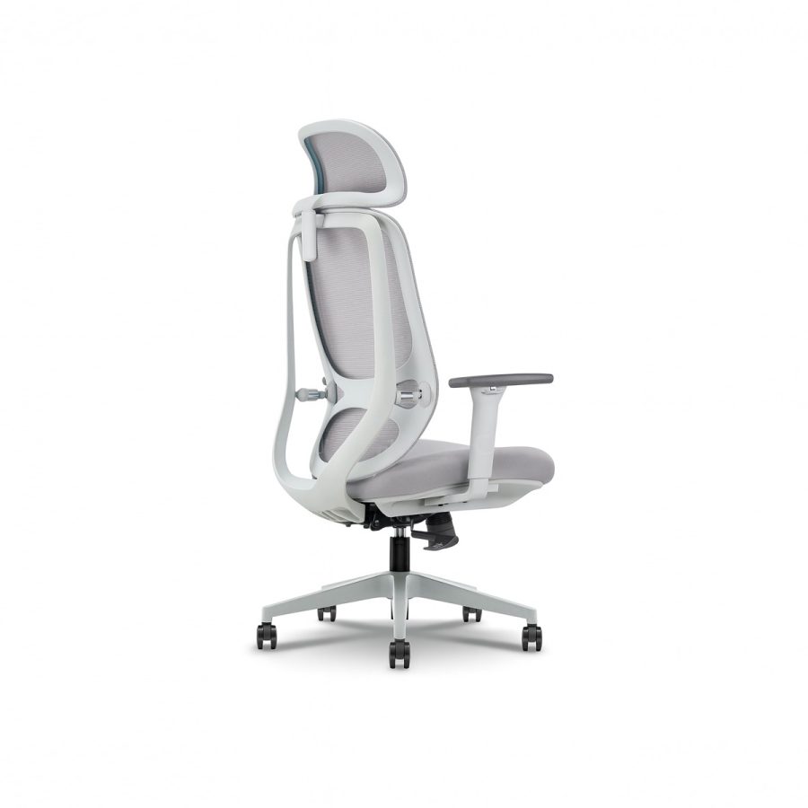 Ghế Văn Phòng Công Thái Học DF-WC4003 - Hình ảnh 3