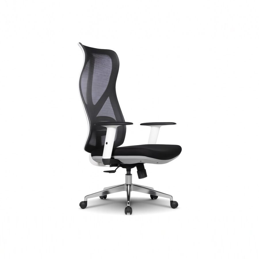 Ghế Văn Phòng Công Thái Học DF-WC4010