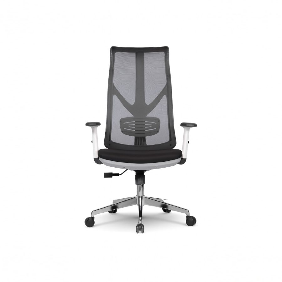 Ghế Văn Phòng Công Thái Học DF-WC4010 - Hình ảnh 3