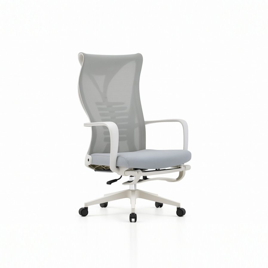 Ghế Văn Phòng Công Thái Học DF-WC4016