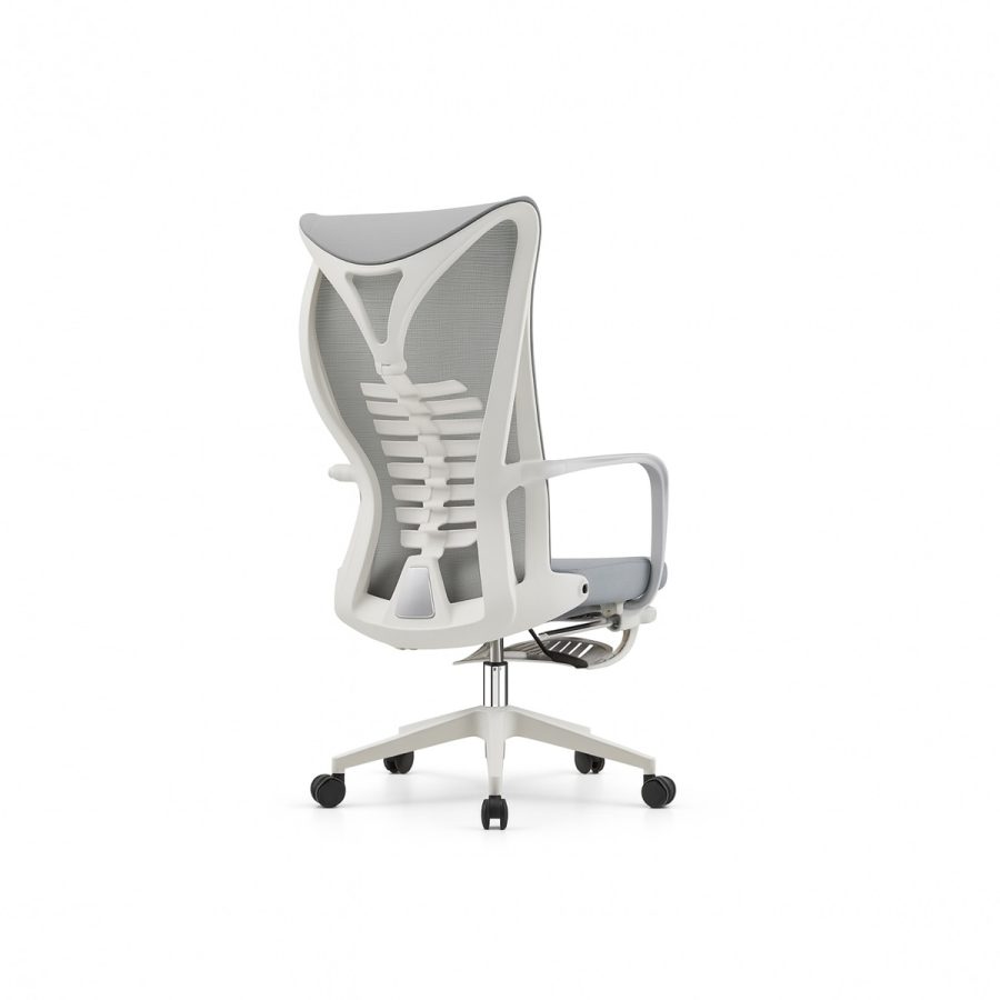 Ghế Văn Phòng Công Thái Học DF-WC4016 - Hình ảnh 2