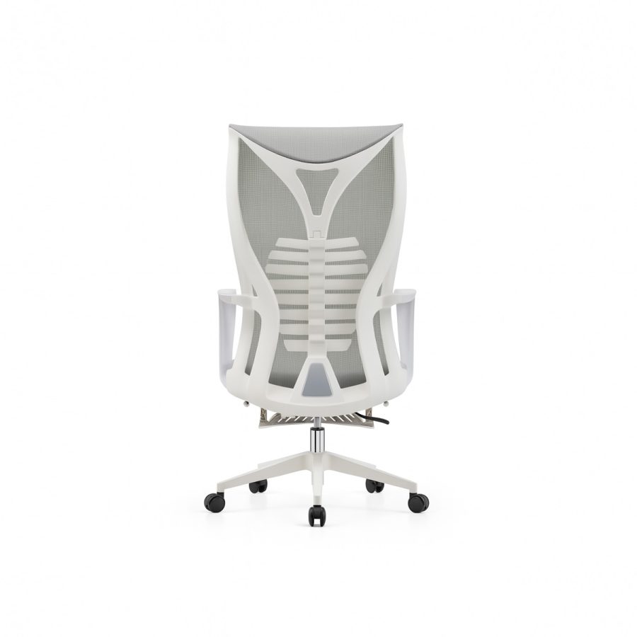 Ghế Văn Phòng Công Thái Học DF-WC4016 - Hình ảnh 5