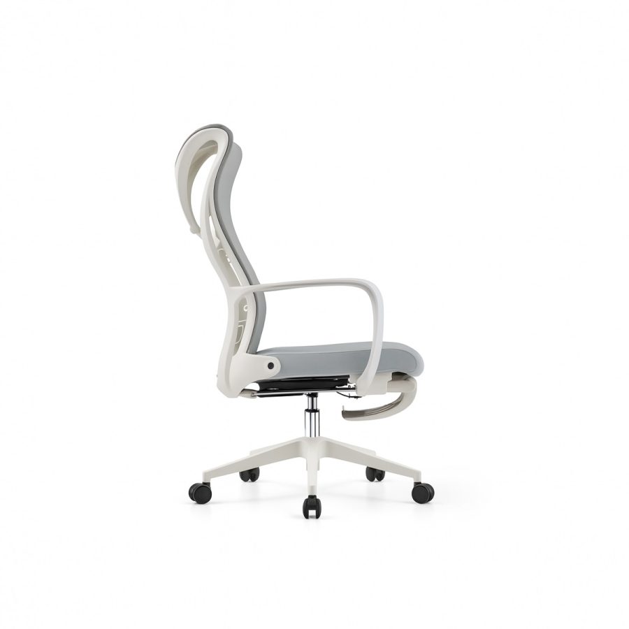 Ghế Văn Phòng Công Thái Học DF-WC4016 - Hình ảnh 3