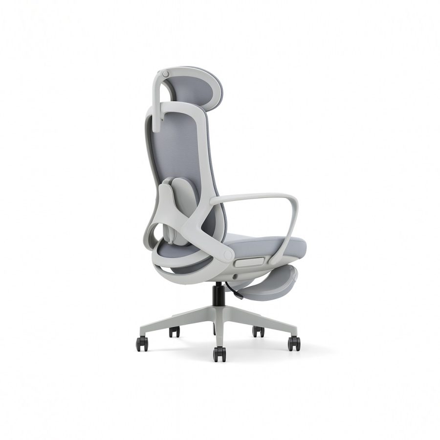Ghế Văn Phòng Công Thái Học DF-WC4023 - Hình ảnh 10
