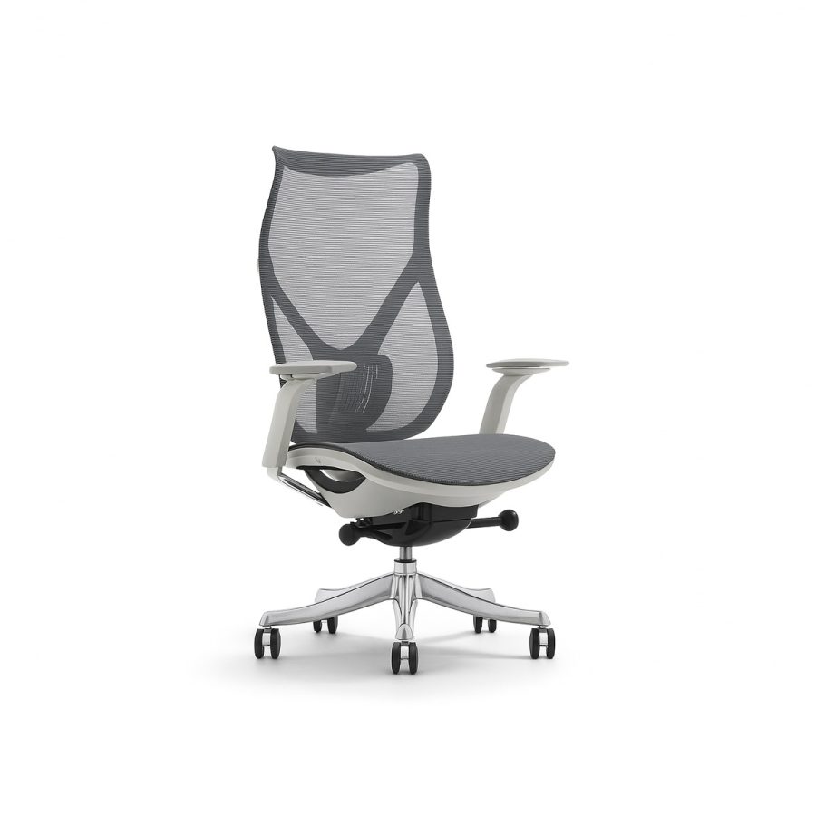 Ghế Văn Phòng Công Thái Học DF-WC4024