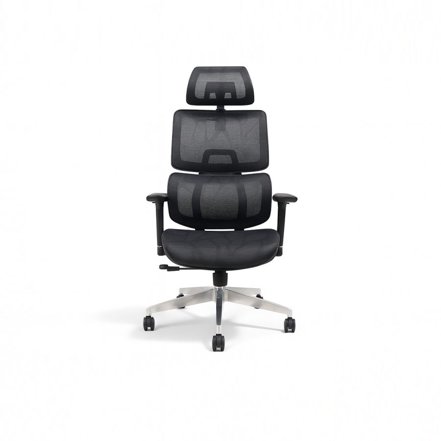 Ghế Văn Phòng Công Thái Học DF-WC4090
