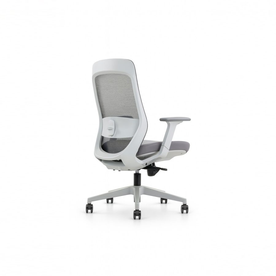 Ghế Văn Phòng Công Thái Học DF-WC4093 - Hình ảnh 4