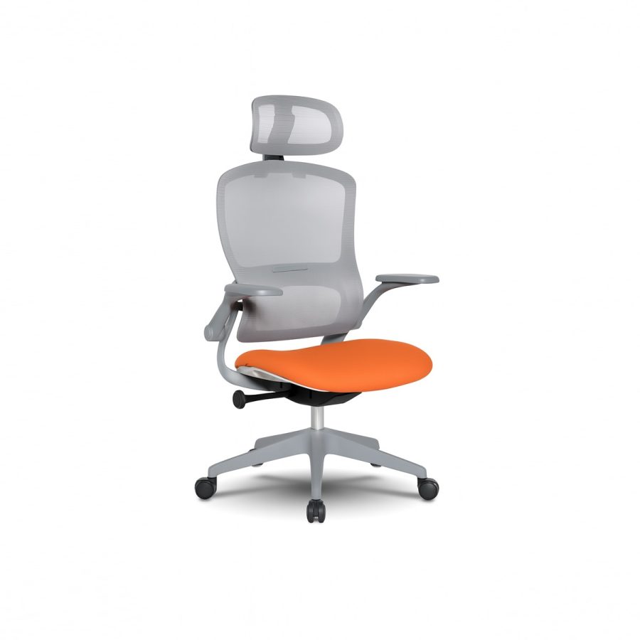Ghế Văn Phòng Công Thái Học DF-WC4094