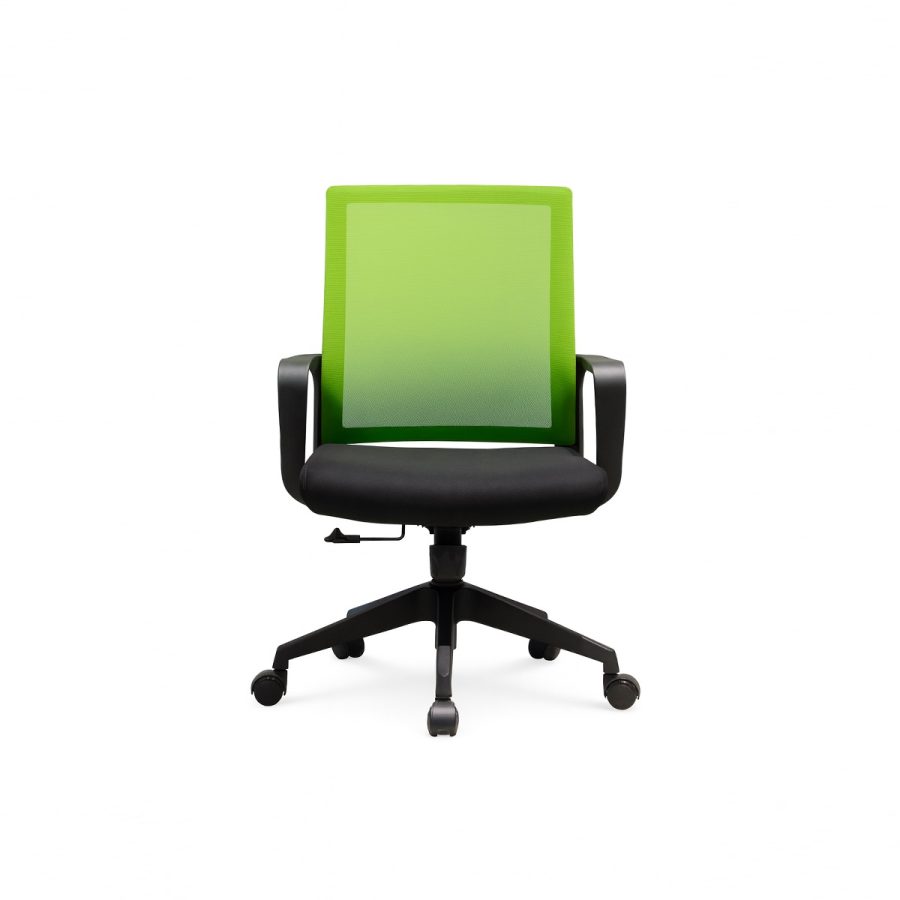 Ghế Xoay Văn Phòng DF-WC4109 - Hình ảnh 2