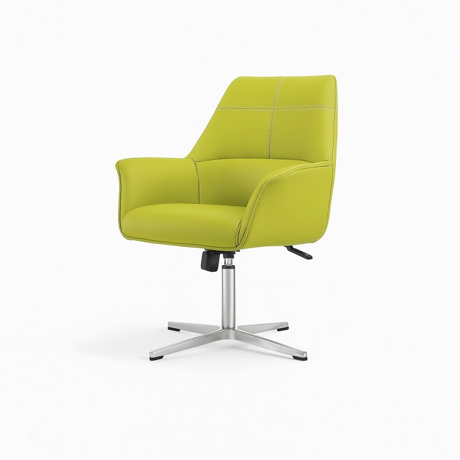 Ghế Tiếp Khách DF-WC4143