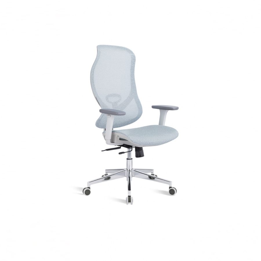 Ghế văn phòng công thái học WIN CHAIR