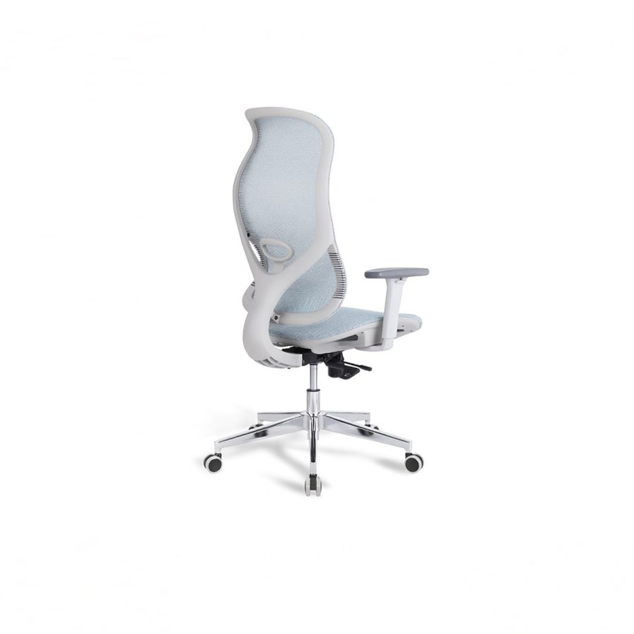 Ghế văn phòng công thái học WIN CHAIR