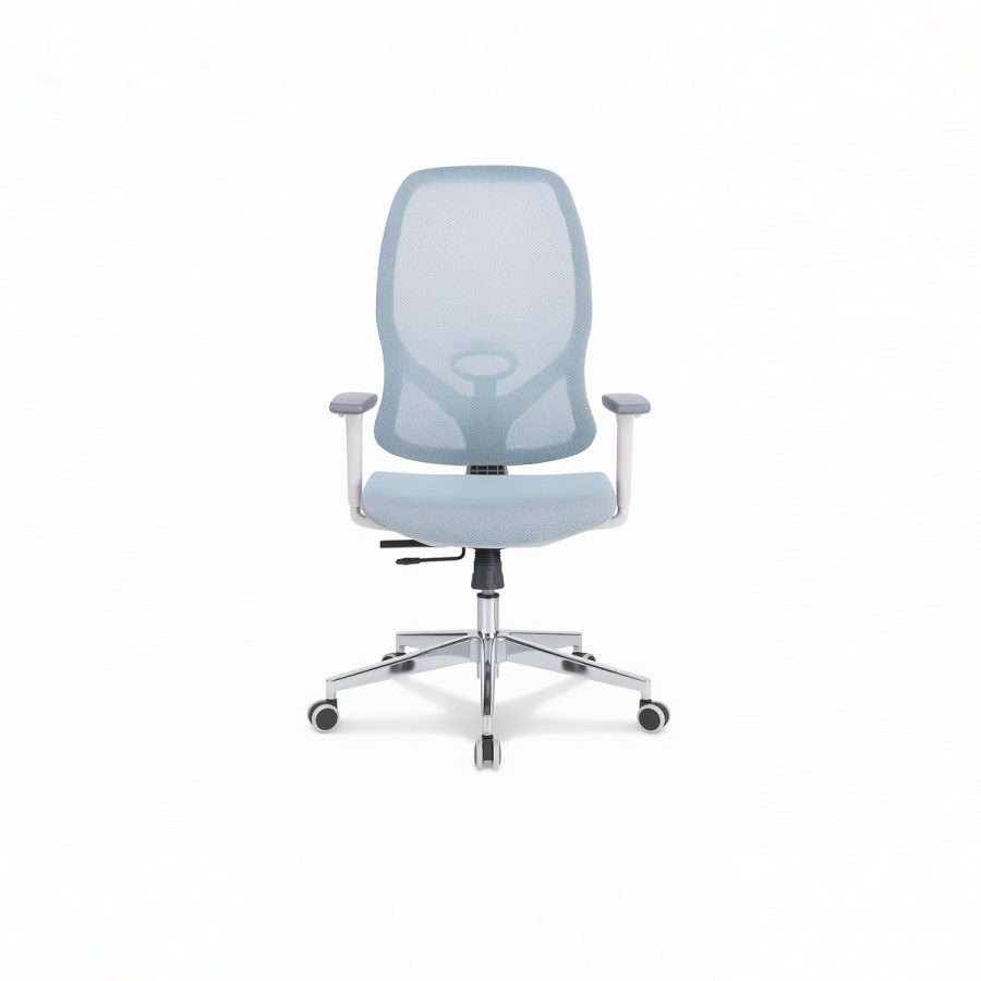 Ghế văn phòng công thái học WIN CHAIR